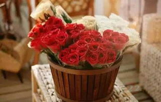 花點(diǎn)時(shí)間 上線兩年用戶破500萬，B輪融資引領(lǐng)禮品花卉銷售新潮流